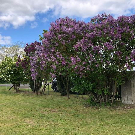 Ferienhaus Biene Wartin Esterno foto
