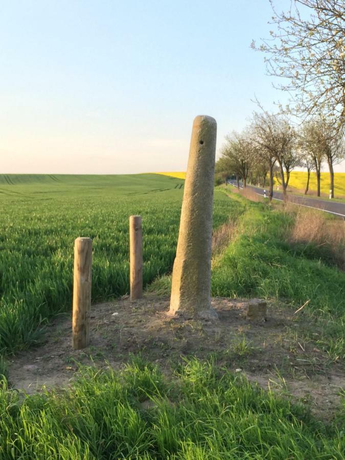 Ferienhaus Biene Wartin Esterno foto