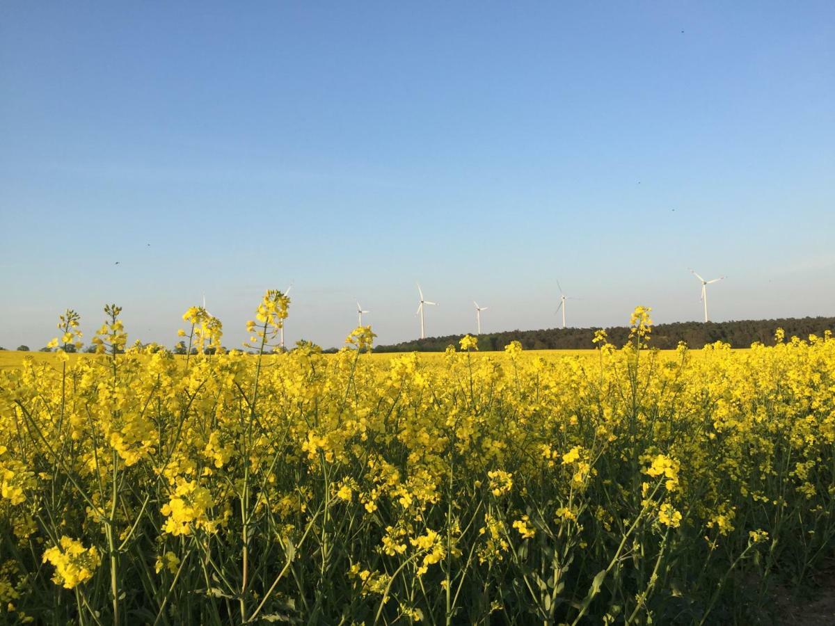 Ferienhaus Biene Wartin Esterno foto