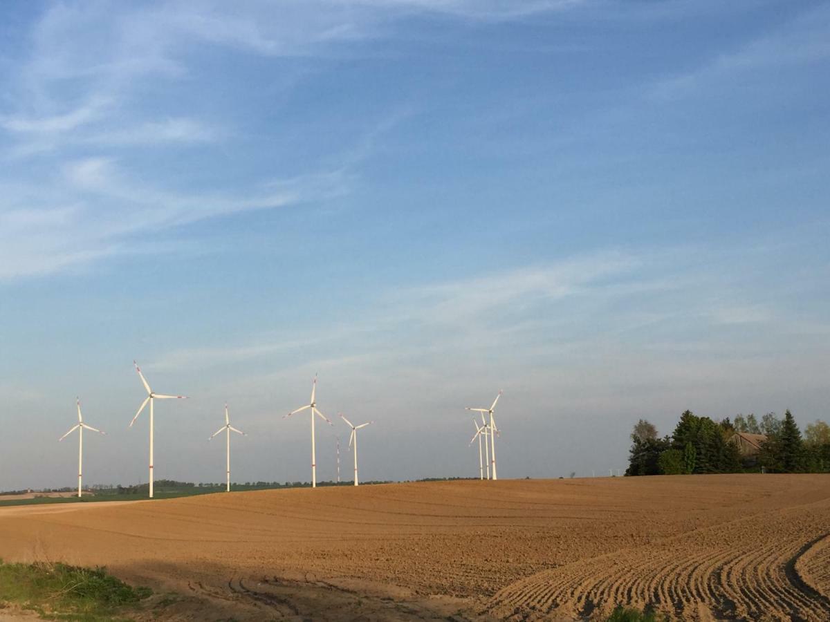 Ferienhaus Biene Wartin Esterno foto