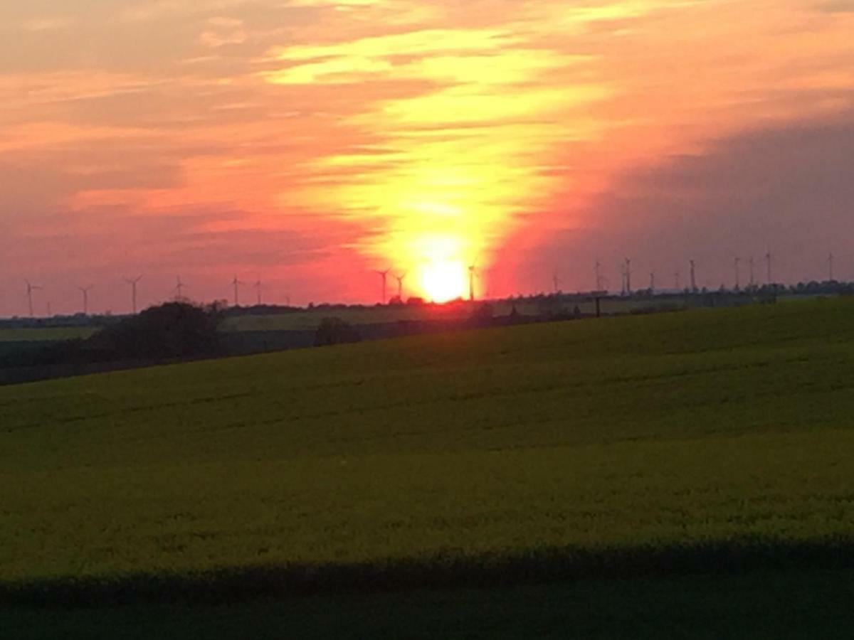 Ferienhaus Biene Wartin Esterno foto