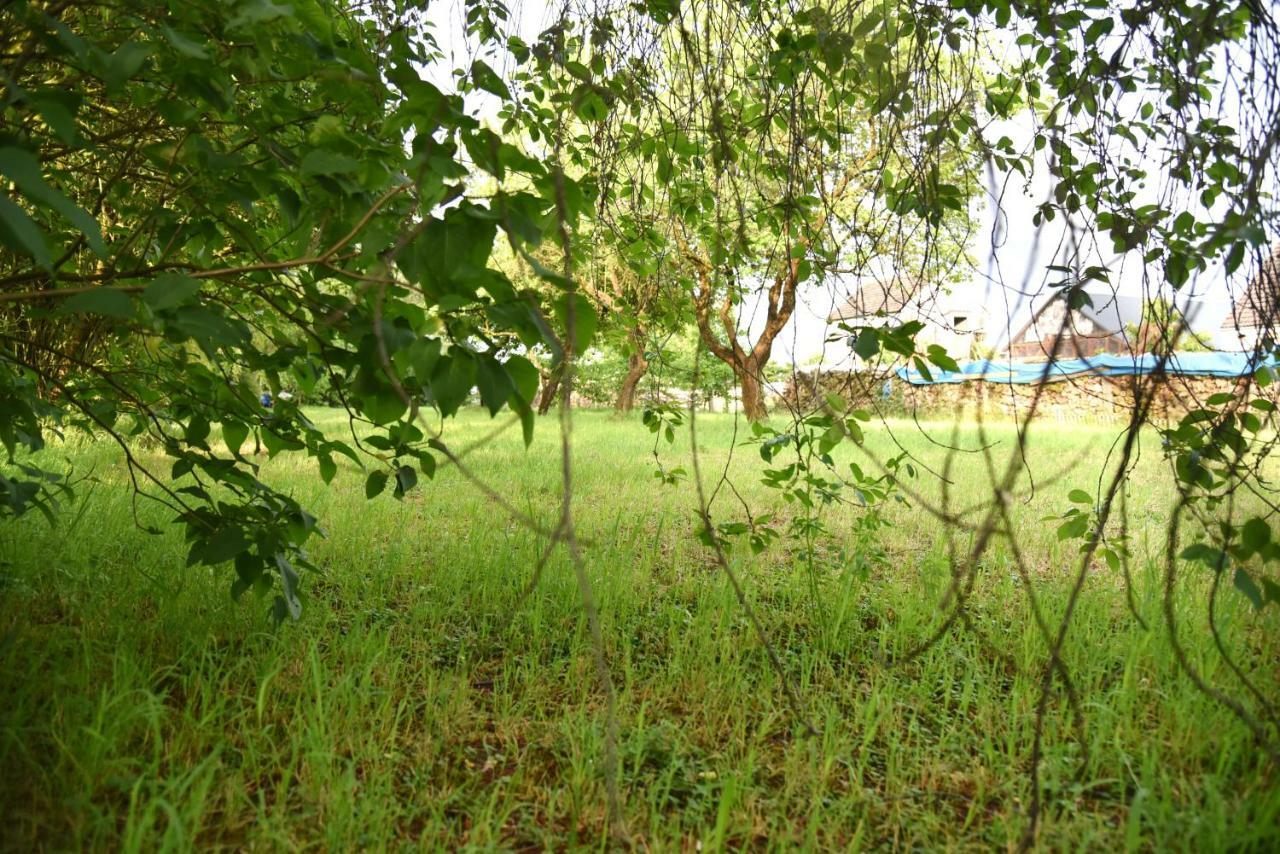 Ferienhaus Biene Wartin Esterno foto