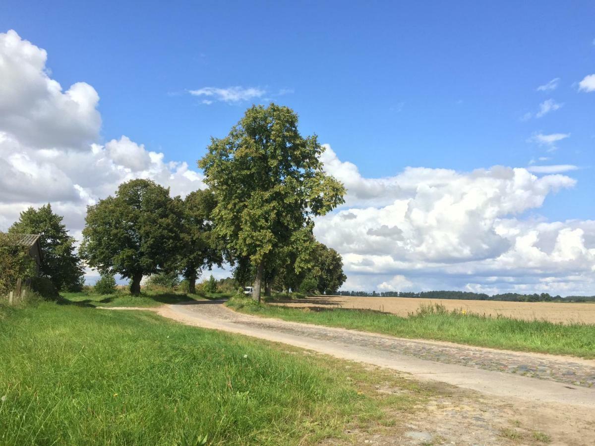 Ferienhaus Biene Wartin Esterno foto